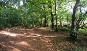 Tour Wandern Trémaouézan - Tremaouézan, tourbière et zone humide de Langazel - Photo 3