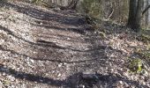 Excursión Senderismo Houffalize - ollomont . Le herou . les ondes . Le chesle . podri les ecwarais . ollomont  - Photo 11
