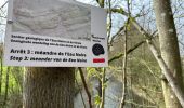 Excursión Senderismo Viroinval - Nismes parcours géologique ouest 10,8 km - Photo 5