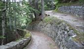 Percorso Marcia Cauterets - Plateau du Lisey - Photo 17