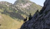 Tour Wandern Glières-Val-de-Borne - BARGY: CENISE - ROCHERS DE LESCHAUX - SOLAISON - COL DE CENISE - Photo 7