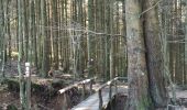 Tour Wandern Weismes - Balade Peak Triple  - Photo 20