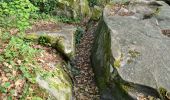 Randonnée Marche Étréchy - Forêt Régionale d'Etréchy - Photo 4