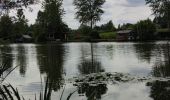 Tocht Stappen Bornem - Randonnée autour du lac de Bornem  - Photo 1