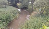 Tocht Stappen Somme-Leuze - Marche ADEPS à  Baillonville. Beau parcours de 10km400. - Photo 12