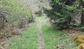 Tour Wandern La Combe-de-Lancey - Col du Pré du Molard - Photo 13