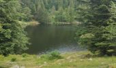 Tocht Stappen Orbey - randonnée des 3 lacs, lac noir , lac blanc et lac du former ( lac des truites) Vosges  - Photo 5