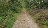 Randonnée Marche Maisse - Maisse - Forêt communale de Milly-la-Forêt - Photo 3