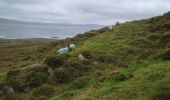 Excursión Senderismo West Cork - Bere Island - Photo 9