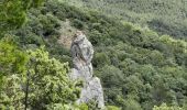 Trail Walking La Roquebrussanne - la loube la cheminée  - Photo 5