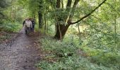 Tour Wandern Esneux - Mary - Amostrenne - Photo 13