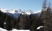 Tour Schneeschuhwandern Saint-André - l Orgere  - Photo 5