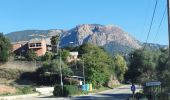 Tocht Stappen Appietto - Mont Gozzi en partant de la chapelle San Chirgu d'Appieto - Photo 2