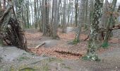 Trail Walking Souligny - Souligny 15,4km nouveau le 21.03.2023 - Photo 4