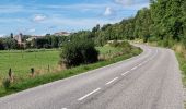 Tour Rennrad Vouthon-Haut - boucle Gondrecourt Vouthon-Haut  - Photo 2