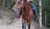 Trail Horseback riding Métairies-Saint-Quirin - point de vue abreschviller  - Photo 11