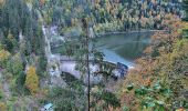 Tocht Te voet Les Planchettes - Barrage du Châtelot - Saut du Doubs - Photo 7