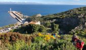 Tocht Stappen Port-Vendres - 20210505 autour de Port-Vendres - Photo 12