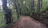 Trail Walking Sprimont - autour de dolembreux  - Photo 3