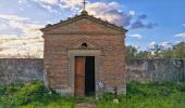 Percorso A piedi Montespertoli - Dolce campagna, antiche mura 1 - Photo 8