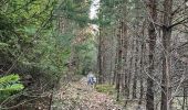 Tocht Stappen Neufchâteau - Hosseuse  - Photo 1