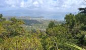 Tour Wandern Rivière-Salée - Rivière Salée - Les Trois-Ilets - Le Défi 2025 - Photo 15