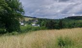 Trail Walking Houffalize - Houffalize 270622 - Photo 11