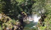 Trail Walking Boudry - gorges areuse - Photo 2