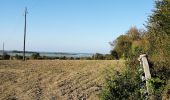 Tocht Mountainbike Caen -  balade Caen canal franceville  - Photo 2