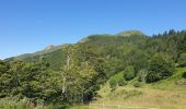 Trail Walking Saint-Jacques-des-Blats - Puy Griou depuis le Col de Font de Cère - Photo 1