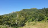 Excursión Senderismo Saint-Jacques-des-Blats - Puy Griou depuis le Col de Font de Cère - Photo 1