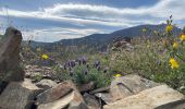 Trail Walking Banyuls-sur-Mer - Banyuls sur Mer, chapelle notre Dame de la Salette - Photo 3