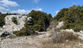 Excursión Senderismo Signes - Siou blanc  - Photo 10