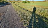 Tocht Stappen Valverde de la Virgen - Oncinq Villavante - Photo 10