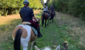 Trail Horseback riding Theux - La Reid Les Cours - Photo 7