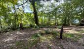 Tocht Stappen Bort-les-Orgues - Barrage de Bort les Orgues - Château de Val - Photo 5