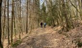 Tour Wandern Érezée - Briscol - Photo 6