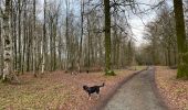 Trail Walking Meix-devant-Virton - Meix-devant-Virton - Photo 3