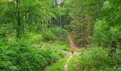 Trail Walking Viroinval - Balade à Regniessart - Viroinval - Photo 3