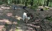 Tour Wandern Léglise - Bombois mini - Photo 2