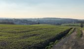 Trail Walking Walcourt - Randonnée autour de Walcourt - Photo 3