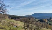 Tour Mountainbike Urbach bei Kaysersberg - Place Arthur - Photo 3