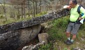Trail Walking Nant - Nant-Causse Begon-St Jean du Bruel - Photo 10