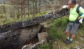 Percorso Marcia Nant - Nant-Causse Begon-St Jean du Bruel - Photo 10