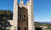 Tour Wandern La Crau - Chapelle du Fenouillet & Château de Hyères - Photo 10