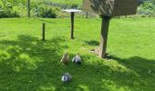 Tocht Stappen Wezembeek-Oppem - S-GR Groene Gordel: Tervuren - Kortenberg - Photo 17