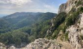 Tour Wandern Saint-Rémy-de-Provence - Gaussier, Peiroou et les 2 trous - Photo 8