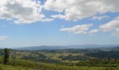 Tour Zu Fuß Labrujó, Rendufe e Vilar do Monte - Varanda do Coura - Photo 6