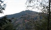 Tour Zu Fuß Nideggen - Stauseerundweg Obermaubach - Photo 5