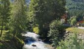 Trail Walking Pralognan-la-Vanoise - Les Hauts de la Vanoise Pont Gerlon  - Photo 1